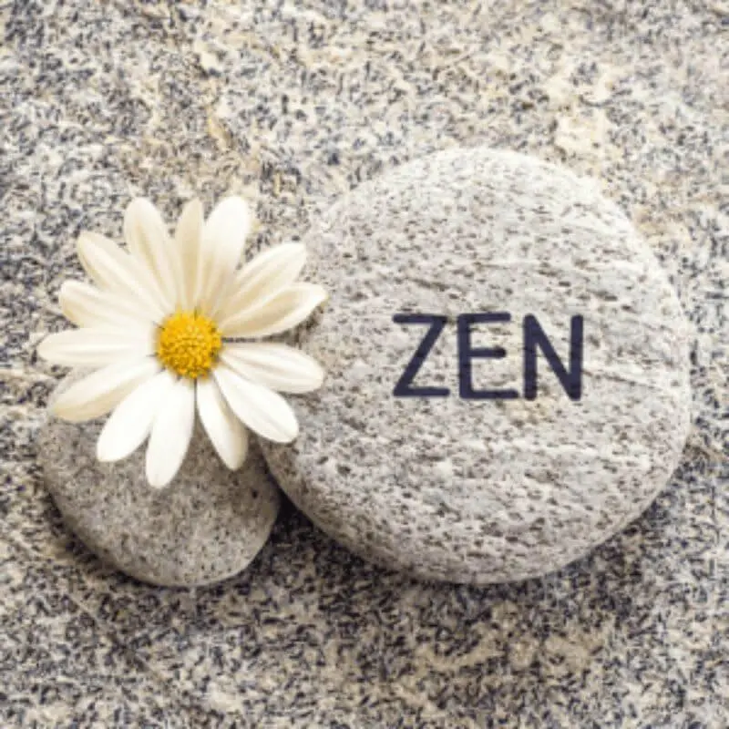 zen equilibrio emocional bem-estar natural